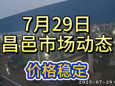 7月29日 昌邑生姜交易实况（价格稳定） ()