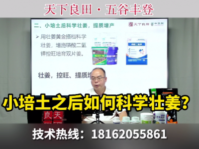 小培土之后如何科学壮姜？ ()