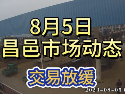 8月5日 昌邑生姜交易实况（交易放缓） ()