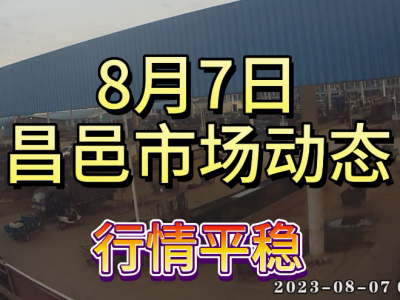 8月7日 昌邑生姜交易实况（行情平稳） ()