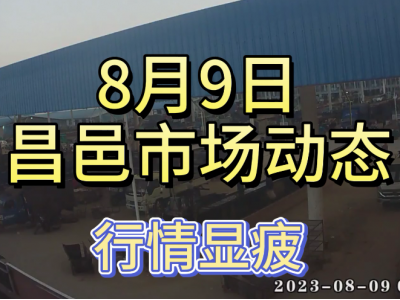 8月9日 昌邑生姜交易实况（行情显疲） ()