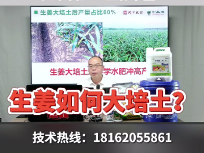 生姜如何大培土？ ()