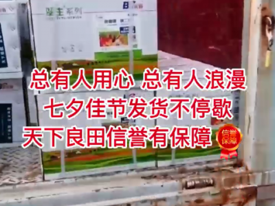 七夕佳节发货不停歇 ()