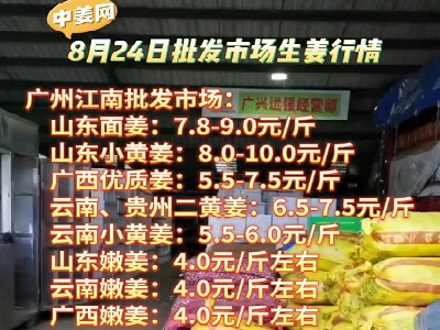 8月24日广州江南批发市场生姜价格行情 ()