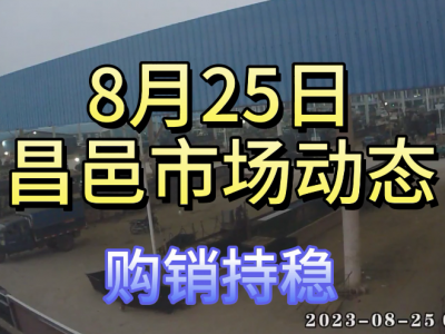 8月25日 昌邑生姜交易实况（购销持稳） ()