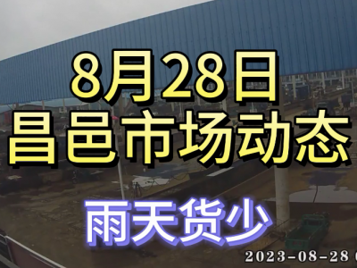 8月28日 昌邑生姜交易实况（雨天货少） ()