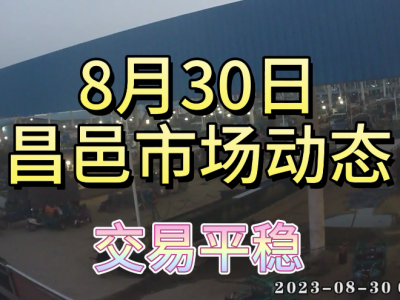 8月30日 昌邑生姜交易实况（交易平稳） ()