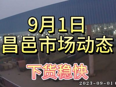 9月1日 昌邑生姜交易实况（下货稳快） ()