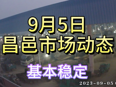9月5日 昌邑生姜交易实况（基本稳定） ()