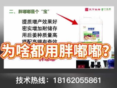 为啥都用胖嘟嘟？ ()