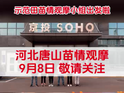 中姜网唐山示范田苗情观摩小组出发啦！ ()