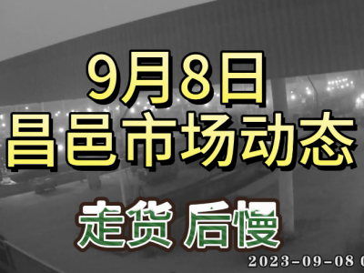 9月8日 昌邑生姜交易实况（先快后慢） ()