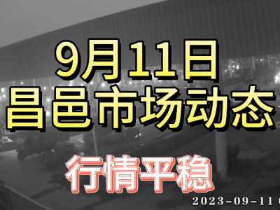 9月11日 昌邑生姜交易实况（行情平稳） ()