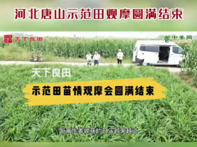 河北唐山示范田观摩圆满结束 ()