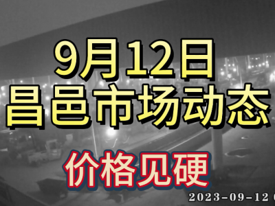 9月12日 昌邑生姜交易实况（价格见硬） ()
