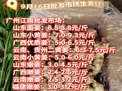 9月16日广州江南批发市场生姜价格行情 ()
