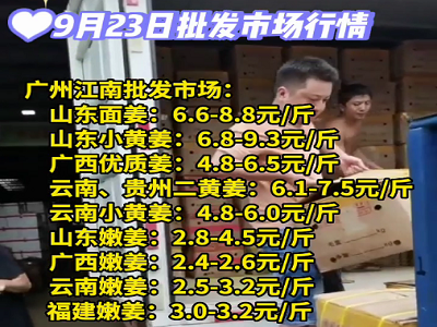9月23日广州江南批发市场生姜价格行情 ()
