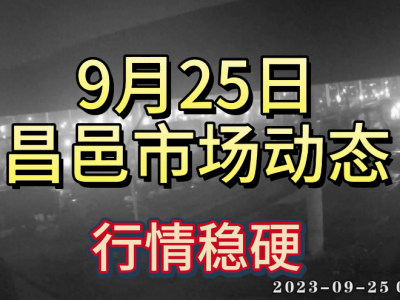 9月25日 昌邑生姜交易实况（行情稳硬） ()