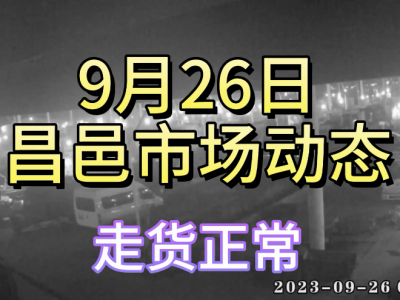 9月26日 昌邑生姜交易实况（走货正常） ()