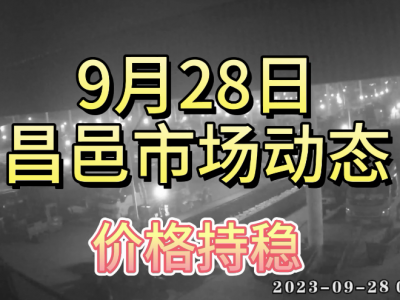 9月28日 昌邑生姜交易实况（价格持稳） ()