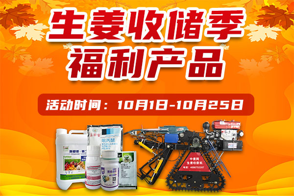 生姜收贮 这些必需品你备好了吗？ ()