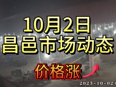 10月2日 昌邑生姜交易实况（价格涨） ()