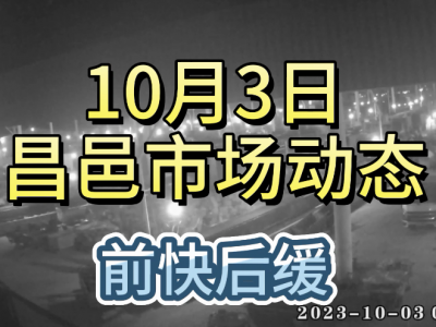 10月3日 昌邑生姜交易实况（前快后缓） ()
