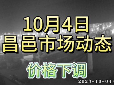 10月4日 昌邑生姜交易实况（价格下调） ()