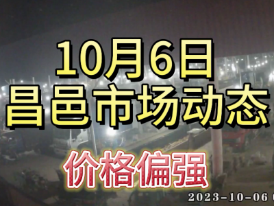 10月6日 昌邑生姜交易实况（价格偏强） ()