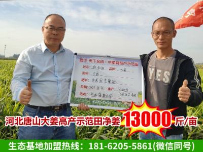 天下良田·中姜网河北、辽宁基地测产 ()