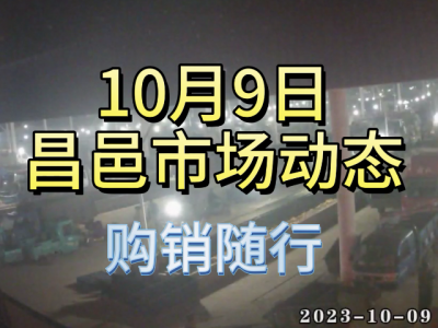 10月9日 昌邑生姜交易实况（购销随行） ()