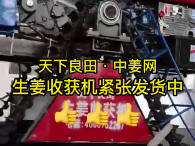 天下良田·中姜网 生姜收获机紧张发货中 ()