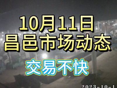 10月11日 昌邑生姜交易实况（交易不快） ()
