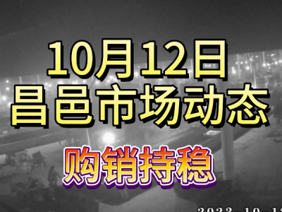 10月12日 昌邑生姜交易实况（购销持稳） ()