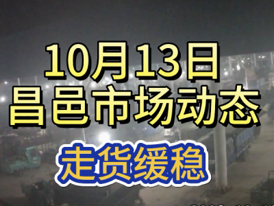 10月13日 昌邑生姜交易实况（走货缓稳） ()