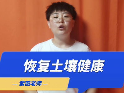 如何恢复土壤健康 ()