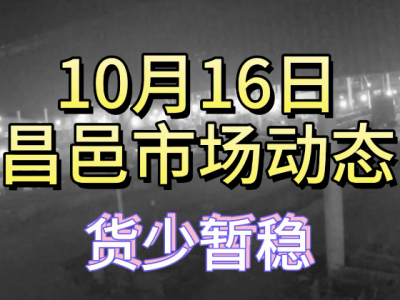 10月16日 昌邑生姜交易实况（货少暂稳） ()