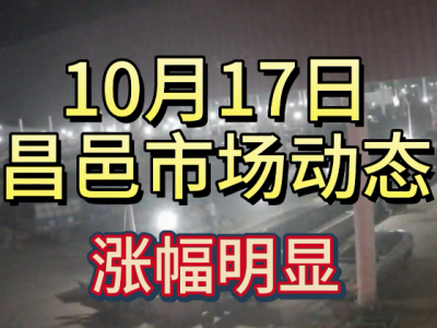 10月17日 昌邑生姜交易实况（涨幅明显） ()