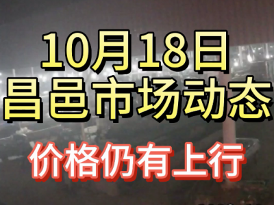 10月18日 昌邑生姜交易实况（价格上行） ()