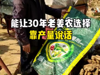30年老姜农的选择 ()