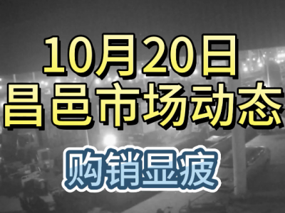 10月20日 昌邑生姜交易实况（购销显疲） ()