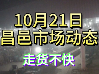 10月21日 昌邑生姜交易实况（走货不快） ()