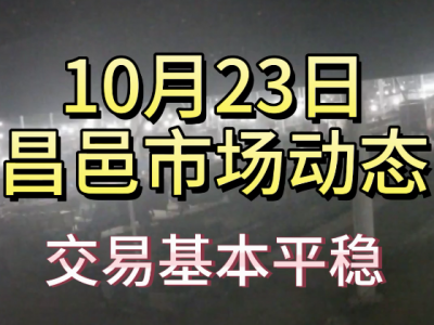 10月23日 昌邑生姜交易实况（交易平稳） ()