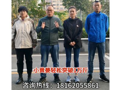 中姜网南方小姜基地测产小组出发啦！ ()