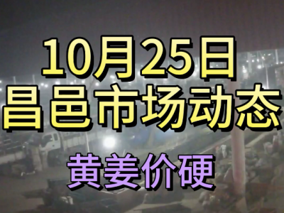 10月25日 昌邑生姜交易实况（黄姜价硬） ()