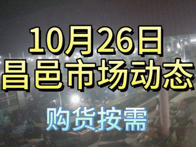 10月26日 昌邑生姜交易实况（按需采购） ()