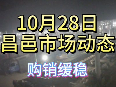 10月28日 昌邑生姜交易实况（购销缓稳） ()