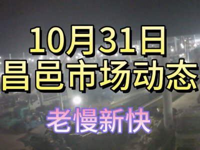 10月31日 昌邑生姜交易实况（老慢新快） ()