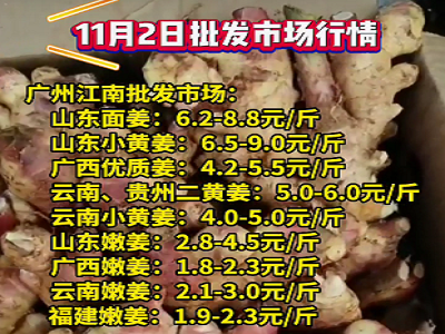 11月2日广州江南批发市场生姜价格行情 ()