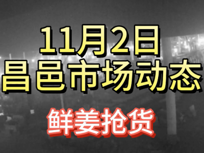 11月2日 昌邑生姜交易实况（鲜姜抢货） ()